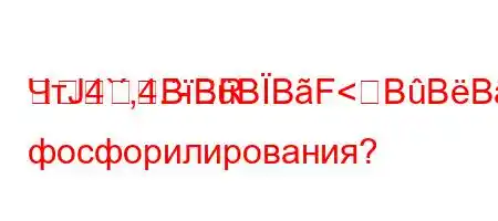 ЧтЈ4`,4.-RBBBBF<BBBFBBFBBF3BBBB фосфорилирования?